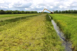 Pflegemahd im Hankhauser Moor © Greta Gaudig